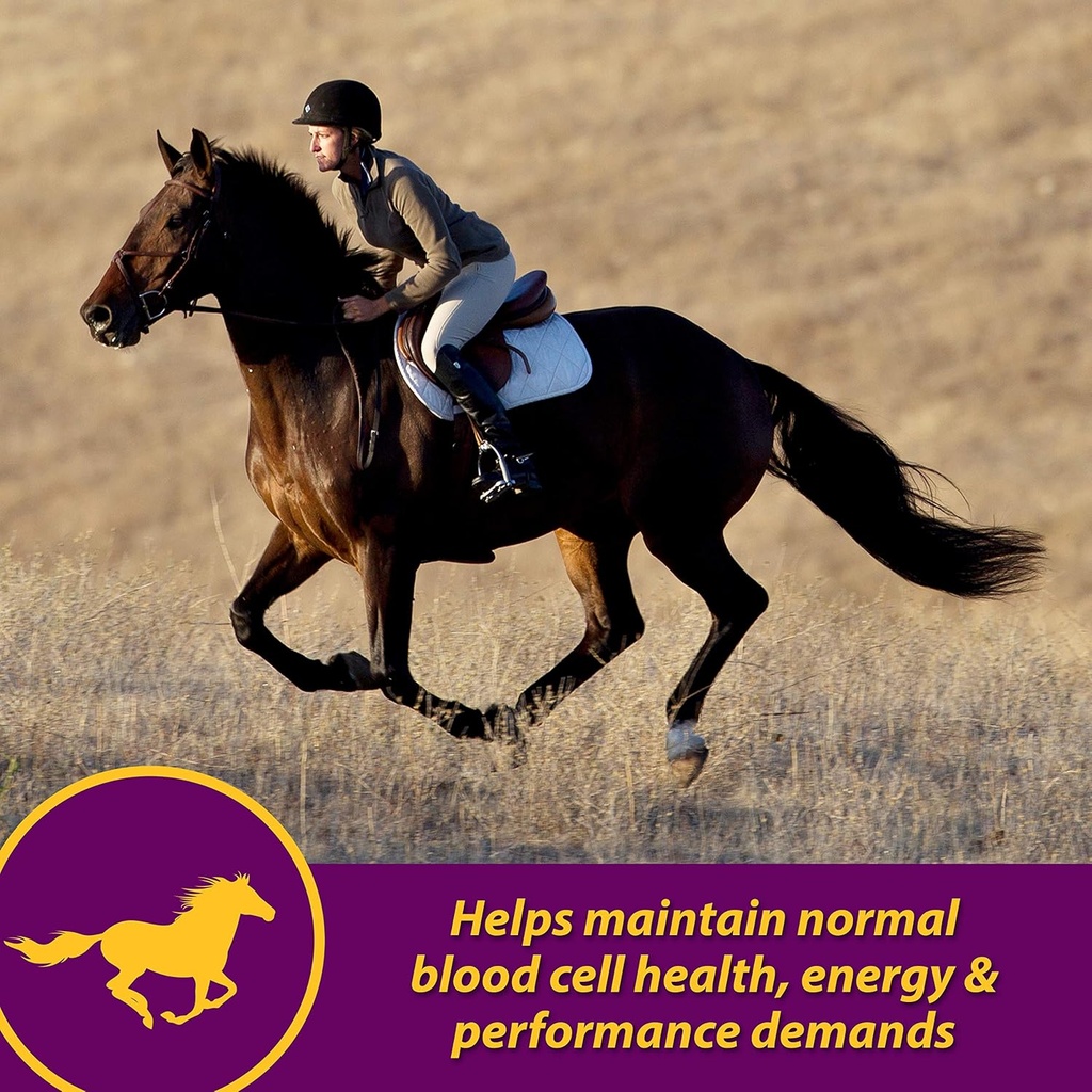 horse-health-red-cell-liquid-vitamin-iro-2.jpg