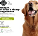 dog-urinary-tract-infection-treatment-bl-5.jpg