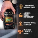 alpha-lion-superhuman-pump-pre-workout-p-2.jpg