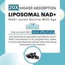 liposomal-nad-supplement-1000-mg-highest-4.jpg