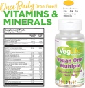 veglife-vegan-one-multi-iron-free-vegan--2.jpg