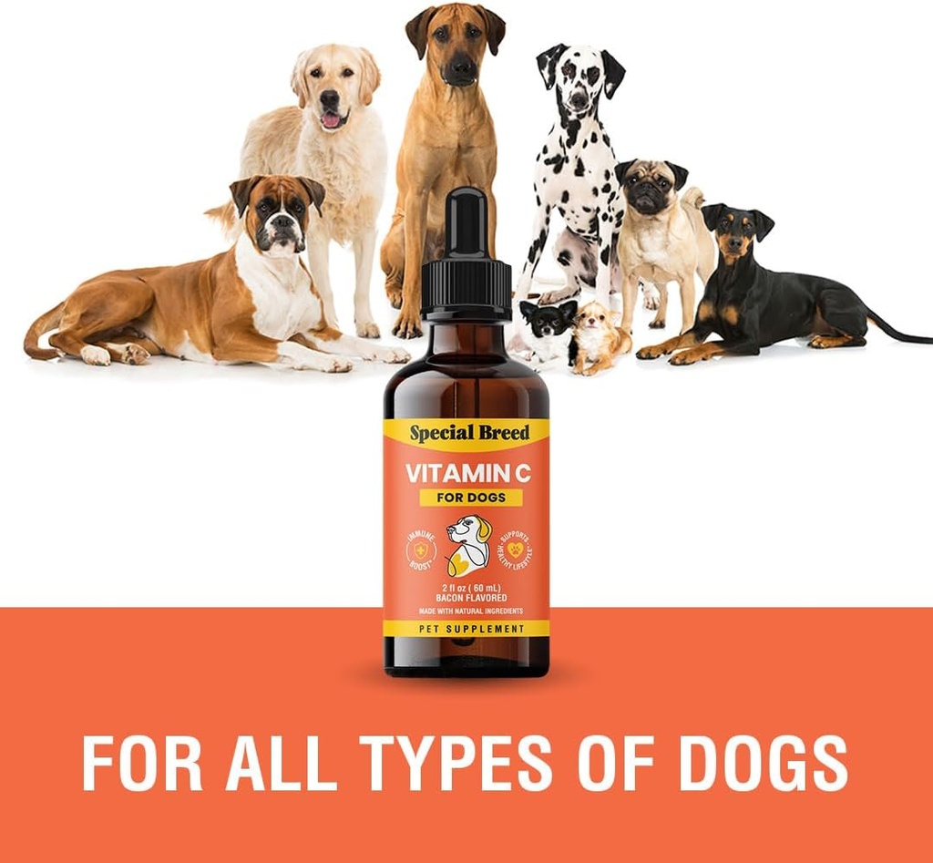 vitamin-c-for-dogs-helps-support-immune--3.jpg