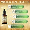 herbalicious-mullein-drops-for-lungs-org-5.jpg