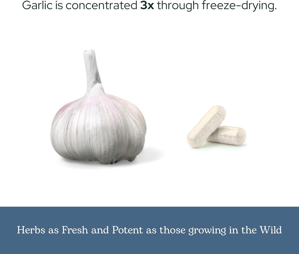 eclectic-herb---premium-freeze-dried-gar-6.jpg