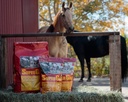 super-weight-gain-40-lb-equine-vitamin-m-2.jpg