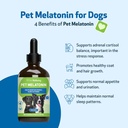 pet-wellbeing-pet-melatonin-for-dogs---v-4.jpg