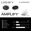 lashify-control-kit---complete-diy-eye-l-5.jpg