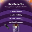 bundle-of-pure-sam-e-nootropic-brain-sup-4.jpg