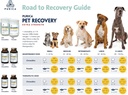 purica-pet-recovery-extra-strength---joi-6.jpg