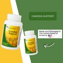 rachelstea-candida-support-intestinal-fl-2.jpg