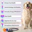 dog-multivitamin15-in-1-dog-multivitamin-6.jpg
