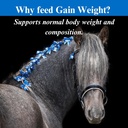 su-per-gain-weight-for-horses---equine-s-5.jpg
