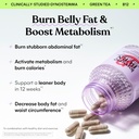 lemme-burn---metabolism-belly-fat-burnin-2.jpg