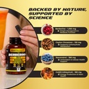 earth-elixir-4-in-1-berberine-supplement-4.jpg