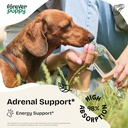 forever-puppy-adrenal-support-drops-for--2.jpg