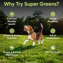 iheartdogs-super-greens-for-dogs-with-br-3.jpg