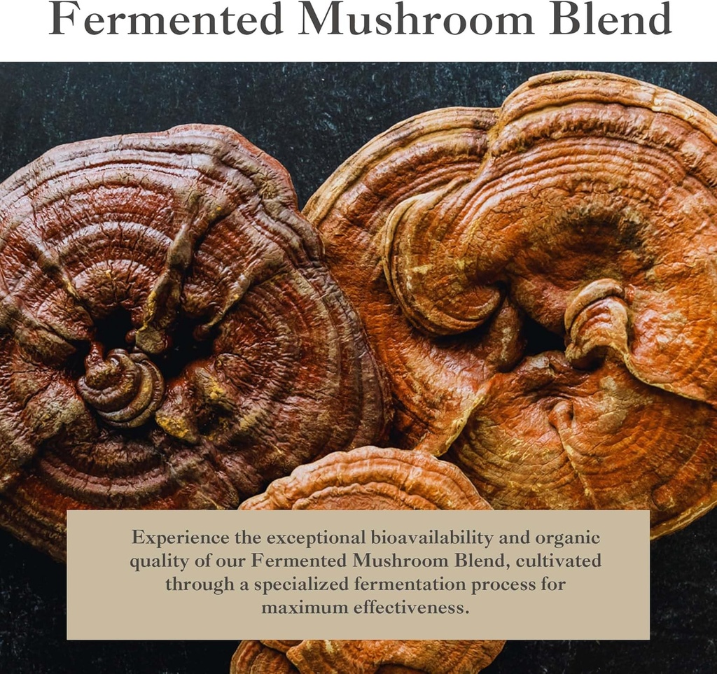 fermented-mushroom-blend-from-6-premium--5.jpg