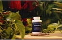 multi-patented-all-natural-dietary-suppl-6.jpg