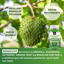 2-pack-soursop-graviola-gummies---2200mg-5.jpg