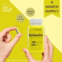 berberine-500mg-hcl-extract-from-berberi-5.jpg