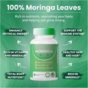 pure-moringa-powder-capsules---800mg-ant-5.jpg