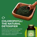 healthforce-superfoods-chlorella-manna---6.jpg