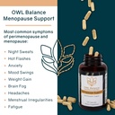 menopause-support-for-women---menopause--2.jpg