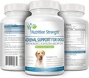 adrenal-support-for-dogs-support-for-dog-4.jpg