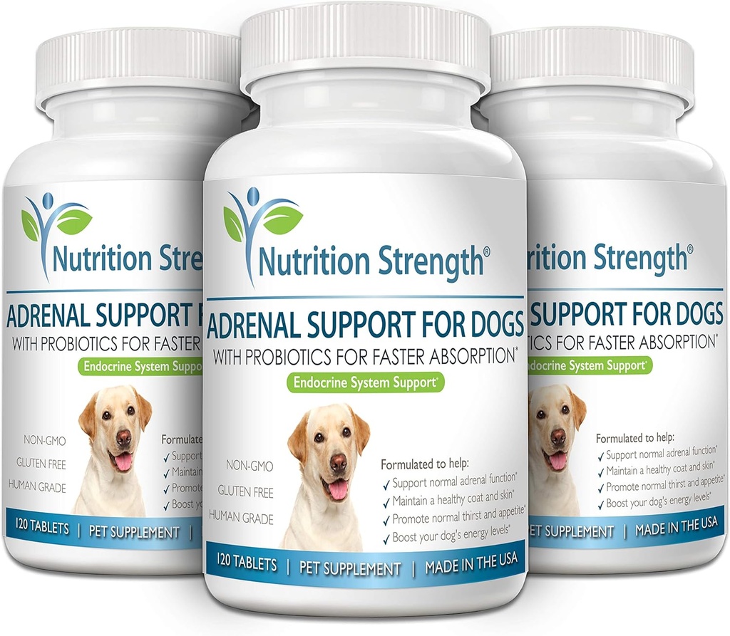 adrenal-support-for-dogs-support-for-dog-5.jpg