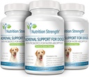 adrenal-support-for-dogs-support-for-dog-5.jpg