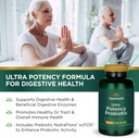 swanson-ultra-potency-probiotic-digestiv-4.jpg