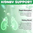kidney-support-for-dogs-kidney-support-h-3.jpg