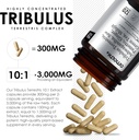 amalth-tribulus-terrsestris-201-extract--6.jpg