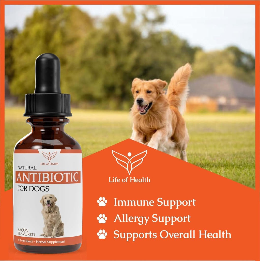 natural-antibiotics-for-dogs-dog-antibio-3.jpg