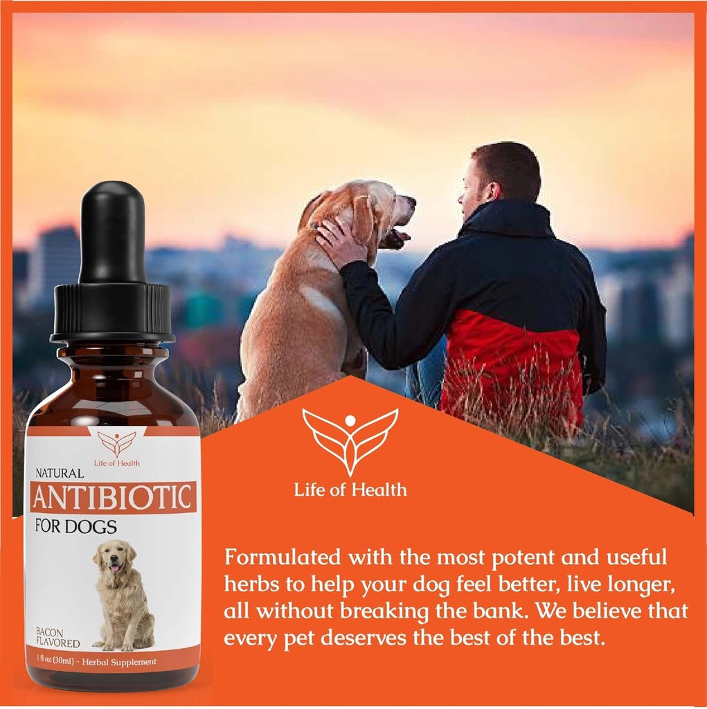 natural-antibiotics-for-dogs-dog-antibio-5.jpg