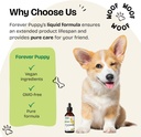 forever-puppy-chamomile-tincture-for-dog-6.jpg