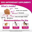 cranberry-bladder-health-for-dogs---dog--3.jpg