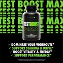 Sculpt Nation by V Shred Test Boost Max and Premium Probiotics Bundle 3