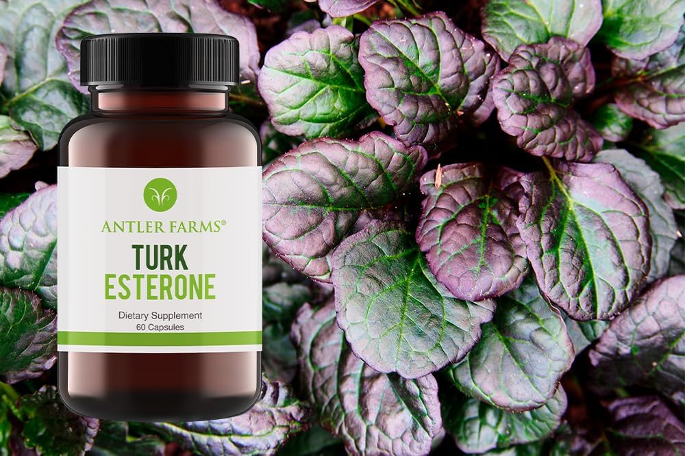 Antler Farms - 100% Pure Turkesterone, 60 Capsules, 500mg – Ajuga Turkestanica Extract Std. to 10% Turkesterone, Men’s Health Support Powerful Antioxidant Supplement 4