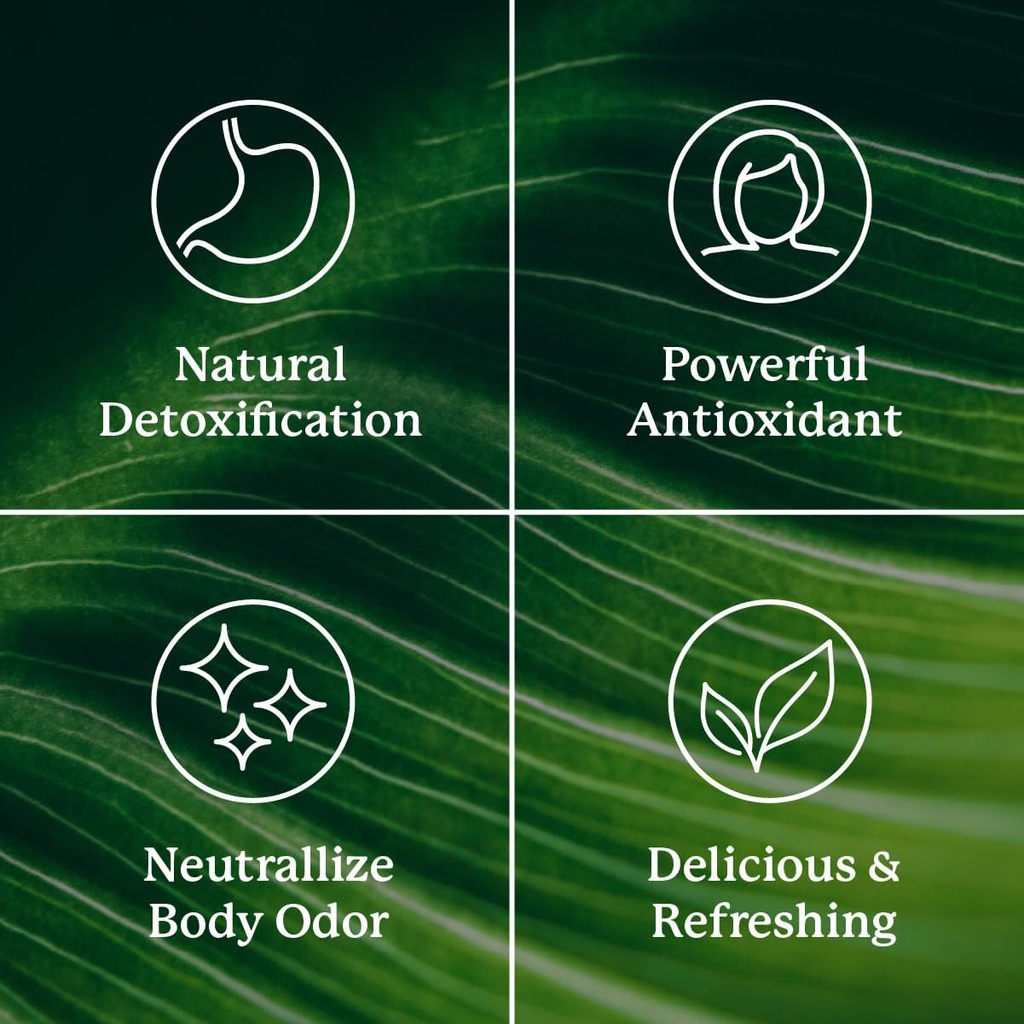 Nature's Sunshine Chlorophyll Stick Packs: Supercharge Your Detox and Boost Gut Health in Convenient, Delicious Stick Packs (Spearmint) 6