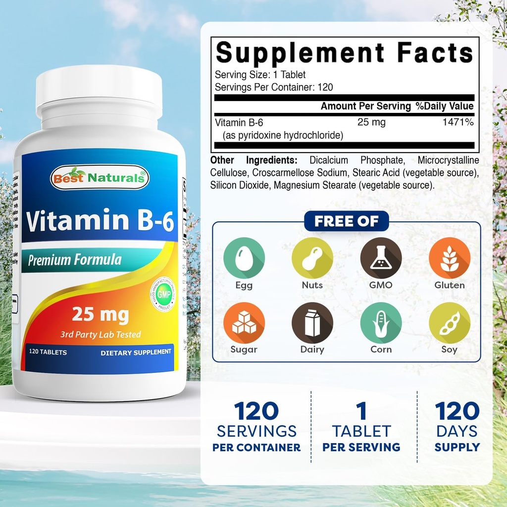 Best Naturals Vitamin B6 25mg, 120 Tablets (120 Count (Pack of 3)) 3