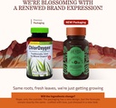 Herbs Etc. ChlorOxygen Chlorophyll Concentrate - Aids Healthy Blood Circulation - High-Altitude Environment Support - Energy Support - 120 Softgels (120 Servings) 3