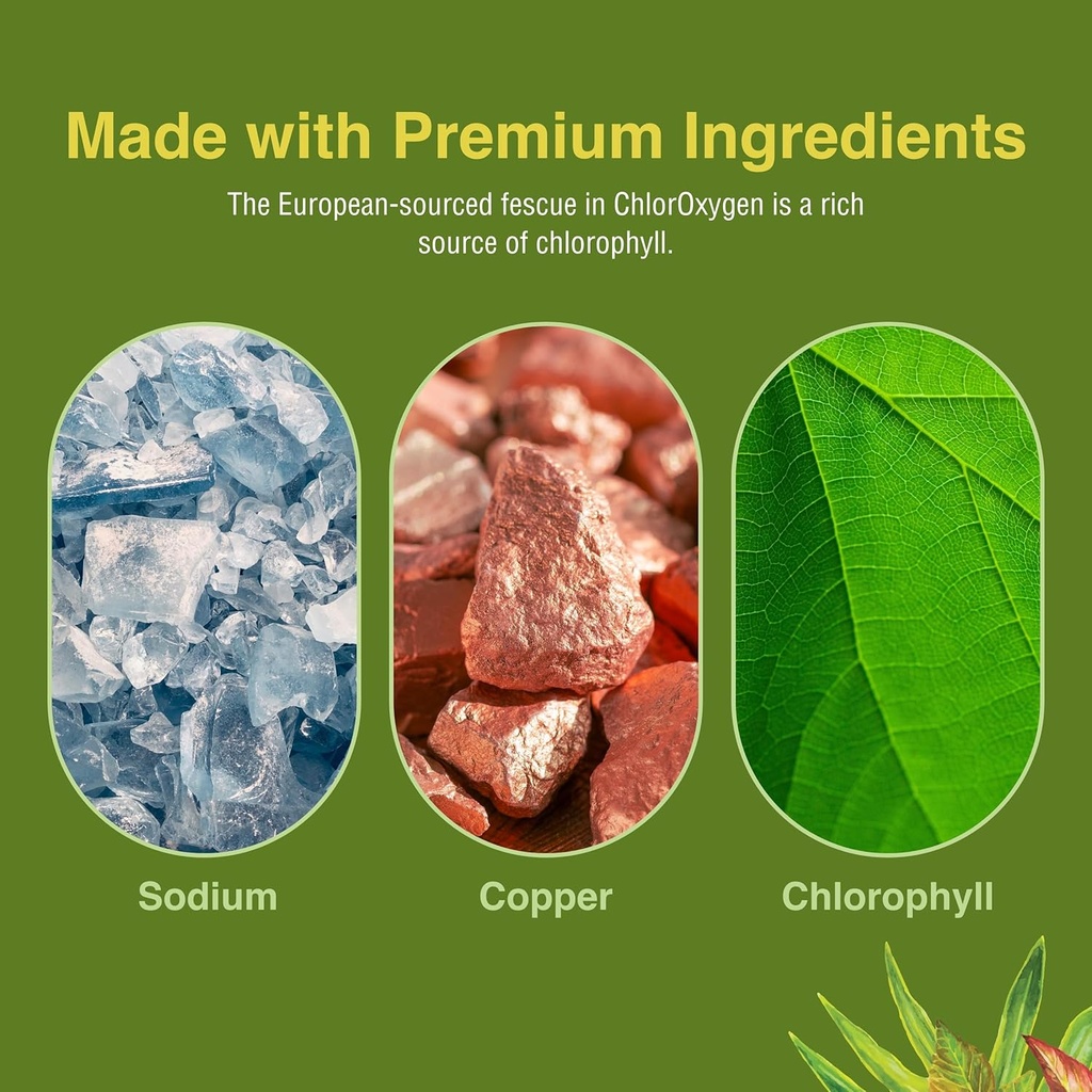 Herbs Etc. ChlorOxygen Chlorophyll Concentrate - Aids Healthy Blood Circulation - High-Altitude Environment Support - Energy Support - 120 Softgels (120 Servings) 6