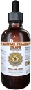 Grape Liquid Extract, Grape (Vitis Vinifera) Seed Tincture Supplement 4x4 oz 6