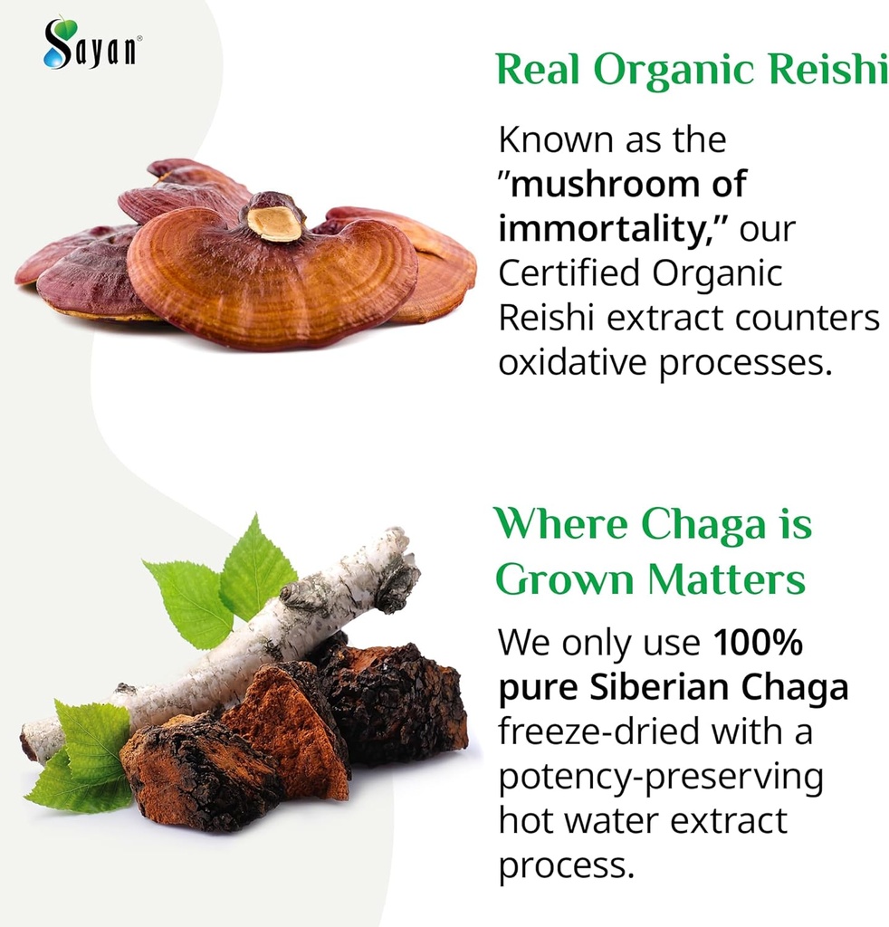 Sayan Siberian Chaga and Organic Reishi Mushroom Extract Supplement – 90 Capsules/440mg Each - Wild-Harvested, Antioxidant Blend for Immune System Support + Natural Energy Boost, Non-GMO, Gluten Free 5