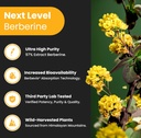 NutraChamps Complete Metabolic & Circulatory Support : Berberine & Nitric Oxide Booster Duo 4