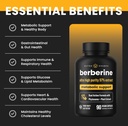 NutraChamps Complete Metabolic & Circulatory Support : Berberine & Nitric Oxide Booster Duo 6