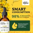 Wild & Organic Mullein Drops 2 oz & Chlorophyll Gummies 60 Chews 5