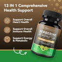 Berberine 1300mg with Green Tea Extract, Resveratrol, Red Yeast Rice & CoQ10 – 13-in-1 Immune Health, Natural Metabolic Support – 60 Capsules – Non-GMO, Lab Tested 3