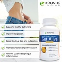 All-Natural Liver and Gut Support | Organic Milk Thistle, Organic Dandelion Root & Organic Black Pepper | Ginger, Artichoke Leaf Extract, Deglycerized Licorice Root & Patented Zinc Carnosine 3